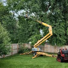Best Utility Line Clearance  in Owings Mills, MD