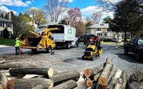 Best Hazardous Tree Removal  in Owings Mills, MD