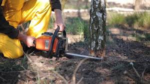Best Weed Control  in Owings Mills, MD